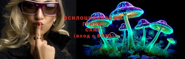 соль курить ск Кодинск
