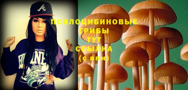 MDMA Premium VHQ Козельск