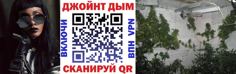 Купить где  Бабаево  Бошки Шишки OG Kush 